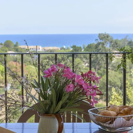 Alivi- Piscine A Partager- Clim- Vue Mer- Wifi- A Pieds コンカ